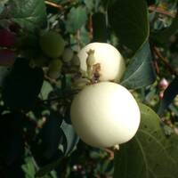 Modul one at the factory by Buranmann