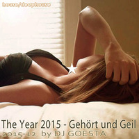 DJ Gösta - Gehört und Geil - The year 2015 (House Set 2015-12) by MISTER MIXMANIA