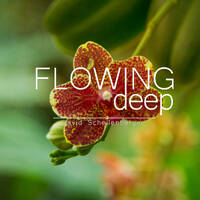 F L O W I N G D E E P # 3 by DJ David Schellenberger