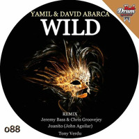 Yamil & David Abarca - WILD (Juanito Remix) by Juanito