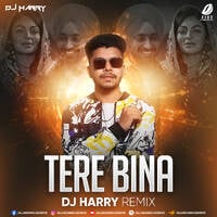 Tere Bina Na Guzara E (Remix) - DJ Harry by All Indian DJs Drive