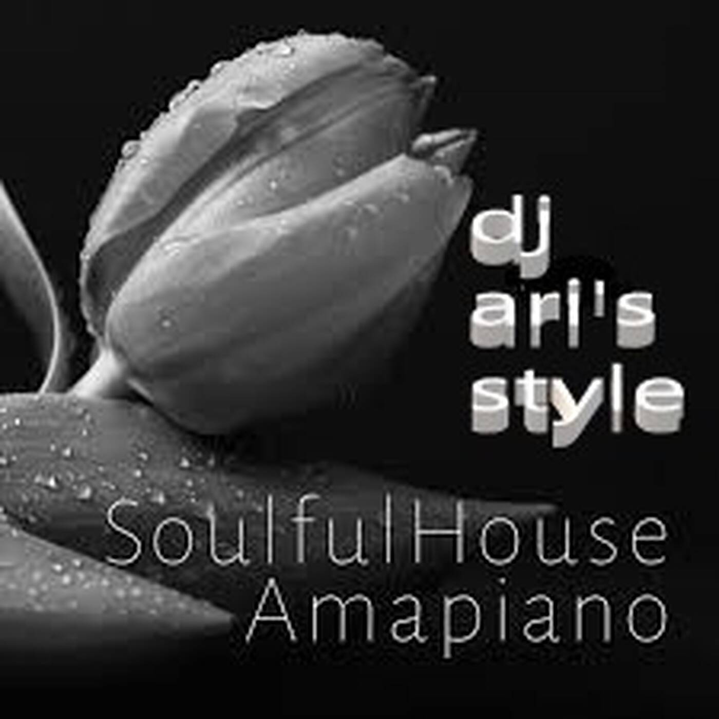 DJ ARI' STYLE#DEEP SOULFUL#MONTE CARLO BEACH#EP 23 2026 episode artwork
