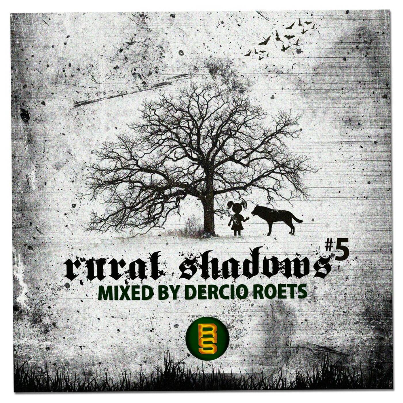 Rural Shadows #5 By Dercio Roets