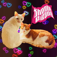 Phoole and the Gang 498 by phoole