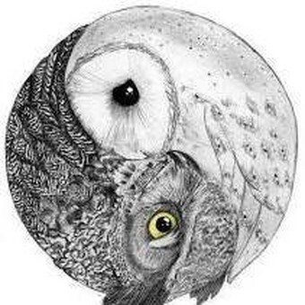 Томас Аткинсон