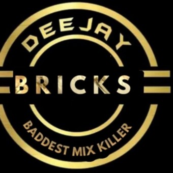 DJ bricks 254