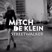 Streetwalker OUT NOW! [Funk 'N Deep] by Mitch de Klein