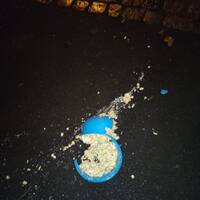 GaLaPaGosses 181221 by subit