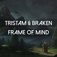 Tristam & Braken - Frame of Mind (Sikris Instrumental Cover) by SIK♦RIS