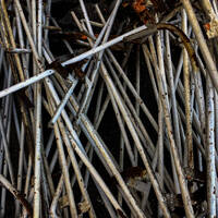 Ay Palas 28.04.2025 @ ApAcik Radyo by Ay Palas