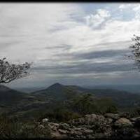 Melodía Yeguarizo by Hans Krauß