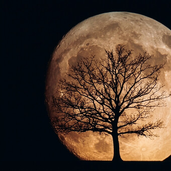 Мёртвая Луна/​Dead Moon (FanatSG)