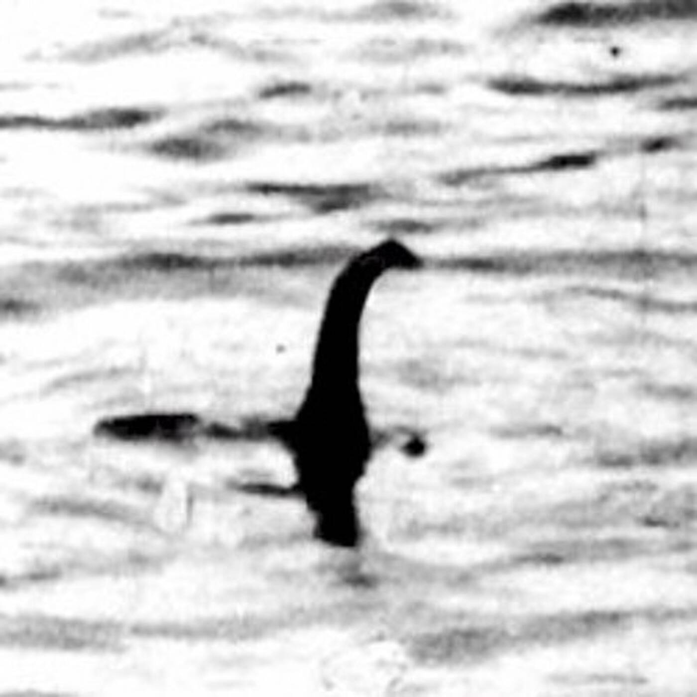 #deepsleepsheep /// toneschleifen & Audiospuren