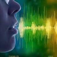 Voicees by Julien Girauld