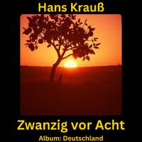 Zwanzig vor Acht by Hans Krauß