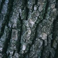 Mundo Mix Radio 225 (16-06-2023) by DJ João Machado