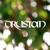 Drustan