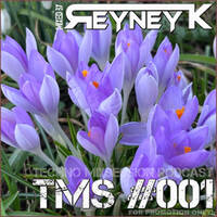 TMS #001 mixed by Reyney K by Reyney K