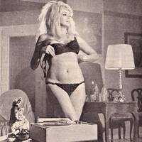 Socially Distanced Summer by Alistair DogHouse Bailey