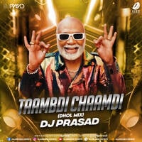 Tambdi Chamdi (Dhol Mix) - DJ Prasad by All Indian DJs Drive