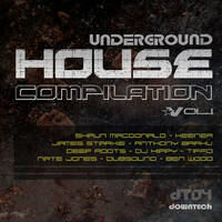 [DT004] VA - Underground House Compilation Vol.1