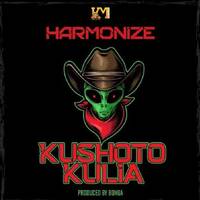 Harmonize - Kushoto Kulia by MOROMUZIC
