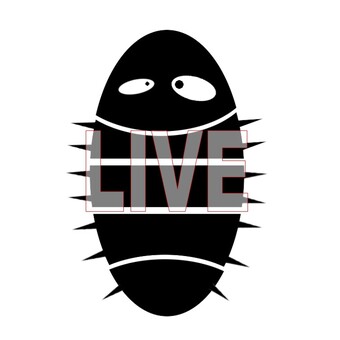 DJ Ben Bosini **Live**