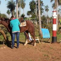 Fuerza Amigo by Hans Krauß