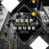 Deep Sounds Of House #002 [Mixed By Thee Bngz] by Thee Bngz