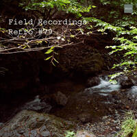 Field Recordings | Retro #79 by PG3A