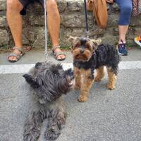 podcast 27 Brazil by LE MATOU