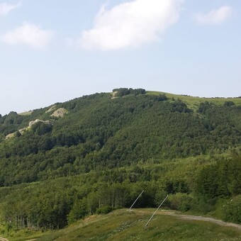 Massimiliano Folegatti