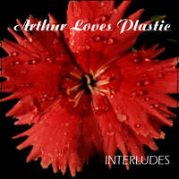 Dark Wet Street by Bev Stanton