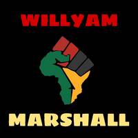 Reggae AUDIO Vibes 17 Roots and Culture by WILLYAM MARSHALL