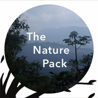 The Nature Pack - Demo by The Sound Pack Tree