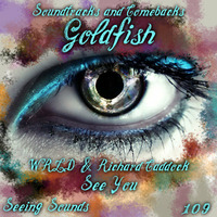Goldfish VS WRLD & Richard Caddock: Seeing Sounds - Mashup by The Mashup Wyvern