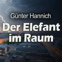 Der Elefant im Raum - Wie Deutschland bis zum letzten Cent ausgeraubt wird - Günter Hannich by NuoFlix