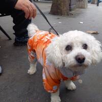 podcast 3 by LE MATOU