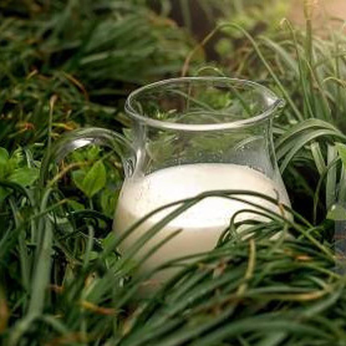 GRASS on GLASS episode artwork