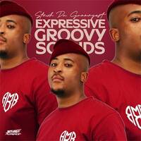 Expressive Groovy Sounds 015 by Stash Da Groovyest