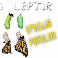 13.5.Poriluk KAKo postati LEPTIR by Poriluk.com