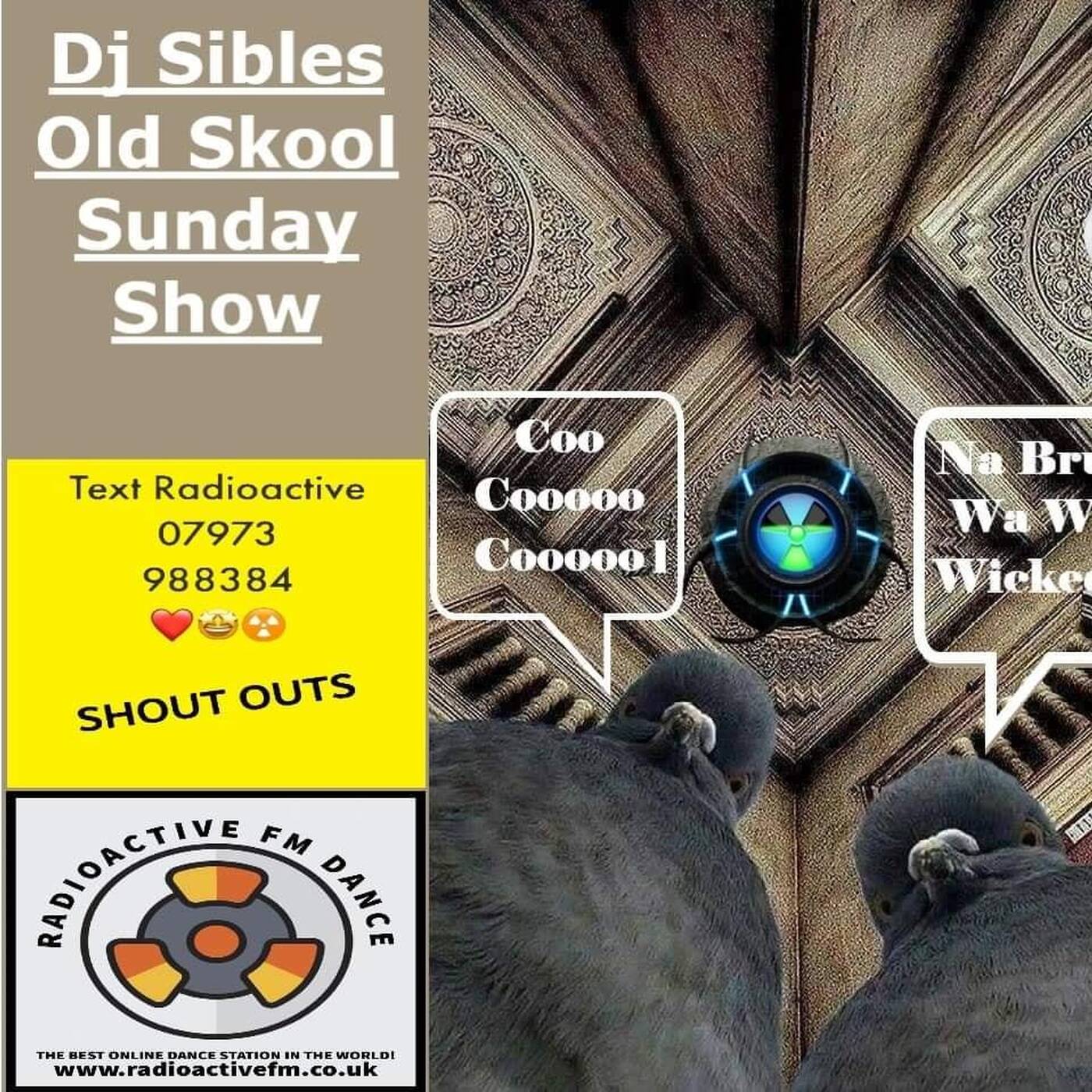 Dj Sible Tech House..Oldskool Sunday Show...9.5.21 episode artwork