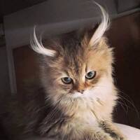 Halloween Mix 2016 part 2 by Aunt B