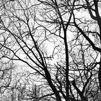 copernicus - katepal lights mix by copernicus