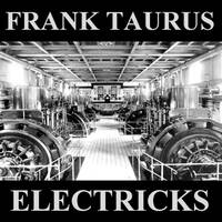 ELECTRICKS NO. 2 by Frank Taurus