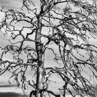 copernicus - highway to house - episode 3 by copernicus