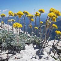 Soulful House Show 2023-08-23 by Dj TuXxL