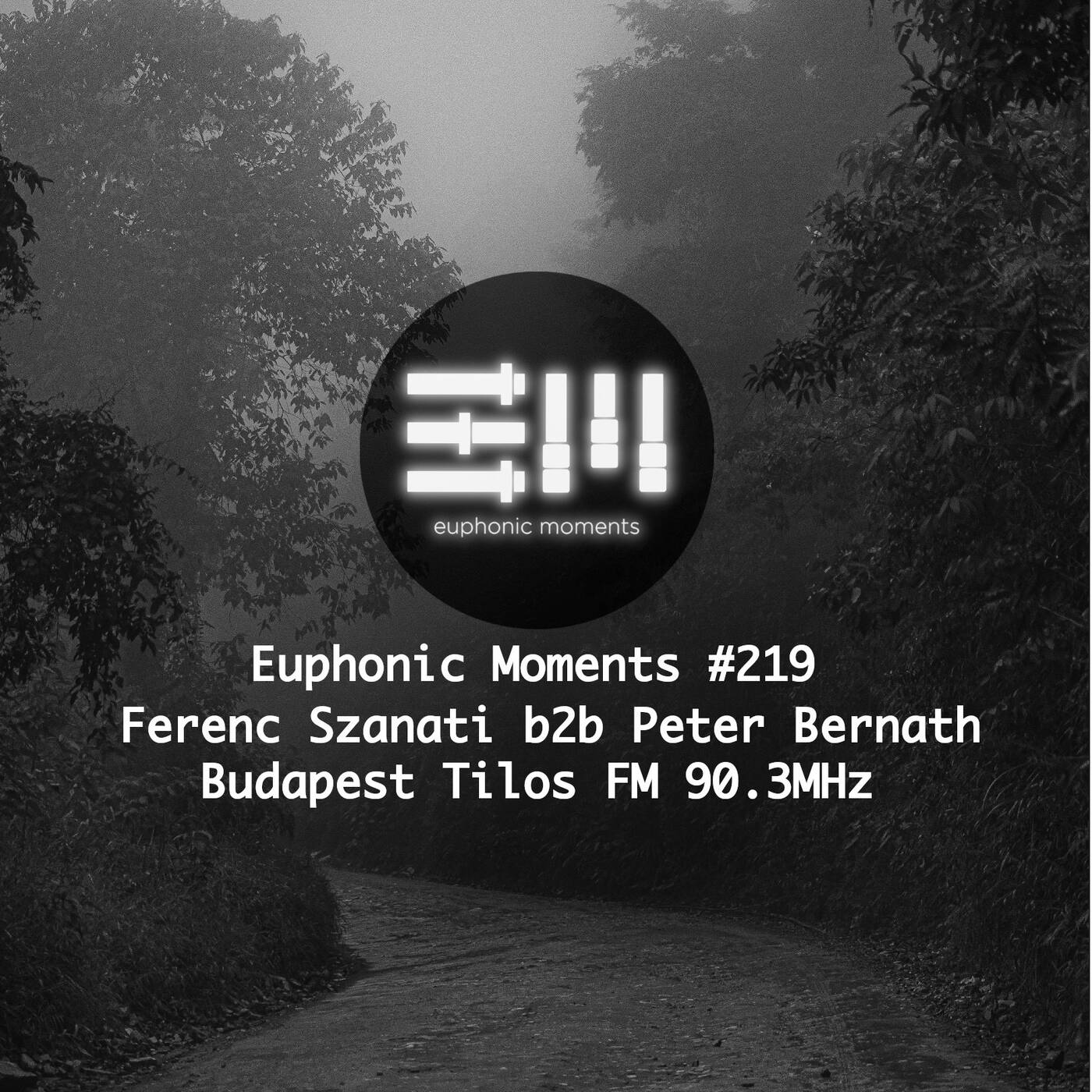 Euphonic Moments # 219 Ferenc Szanati b2b Peter Bernath episode artwork
