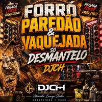 FORRÓ PAREDÃO &amp; VAQUEJADA SÓ DESMANTELO DJCH by Carlos Henrique Rodrigues