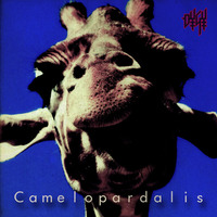 camelopardalis/DYGY by T_BOZZ_Shochang